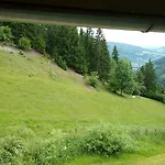 Almwiese *