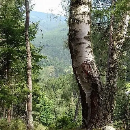 Almwiese Διαμέρισμα *