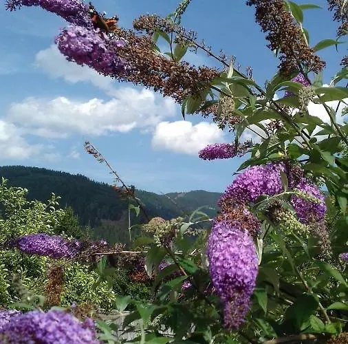 شقة Almwiese Stadl an der Mur